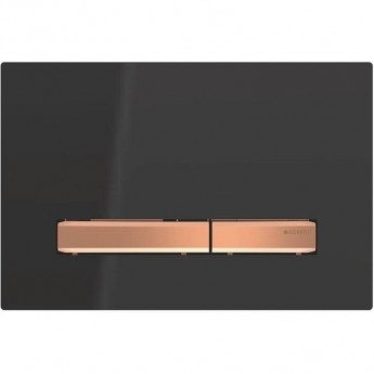 Клавиша смыва GEBERIT SIGMA 50 115.670.DW.2 черный